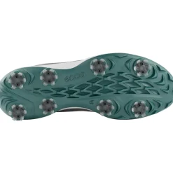 ECCO Men's BIOM Tour Waterproof Spiked Golf Shoes
