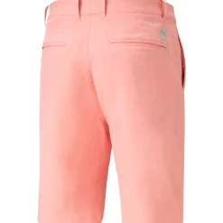 PUMA Men's Dealer Golf Shorts