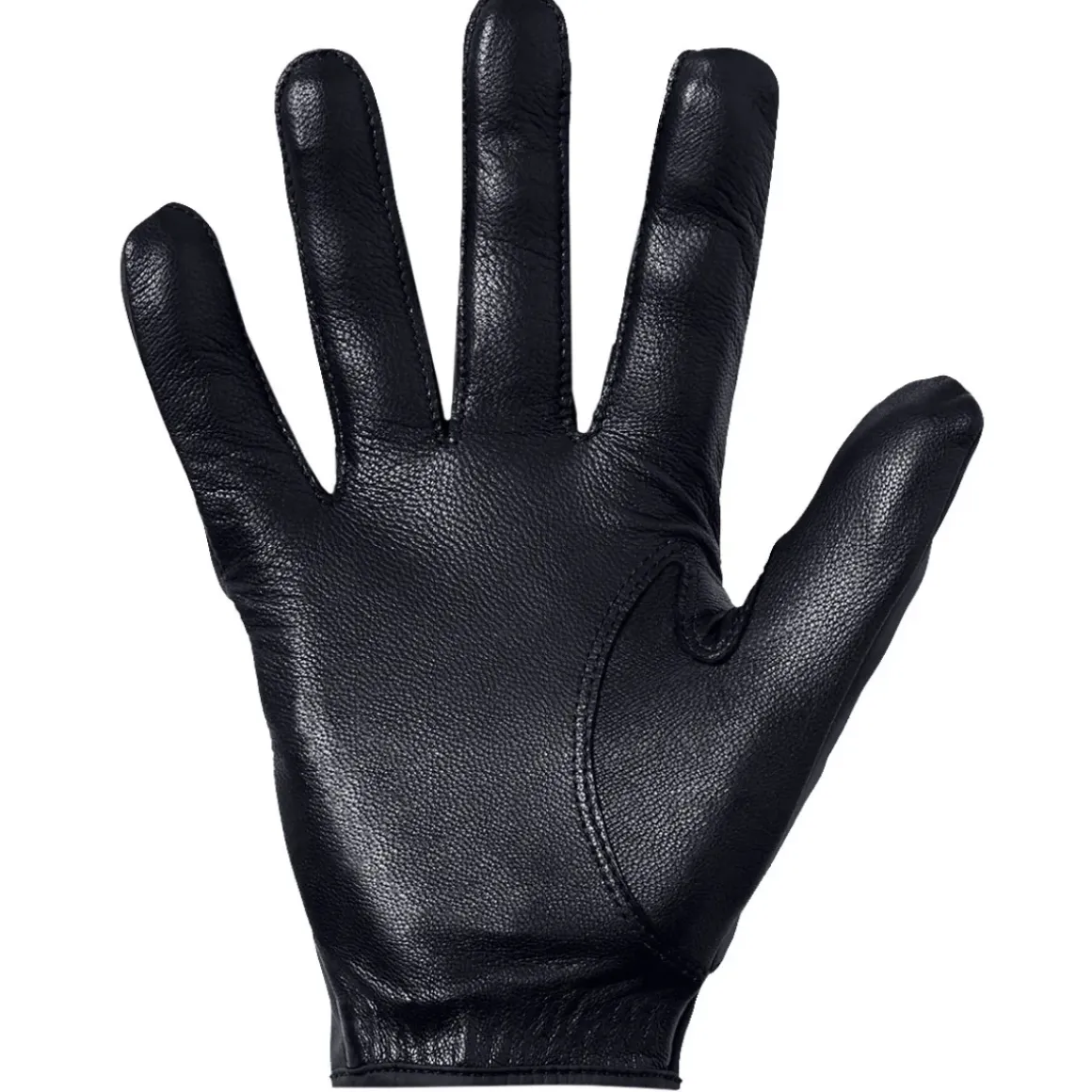 Under Armour Men's ColdGear Golf Gloves - Pair