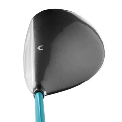 Wilson Ladies D300 SL Golf Fairway Wood